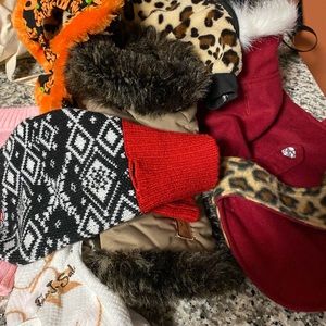 Dog clothes and wrap carrier